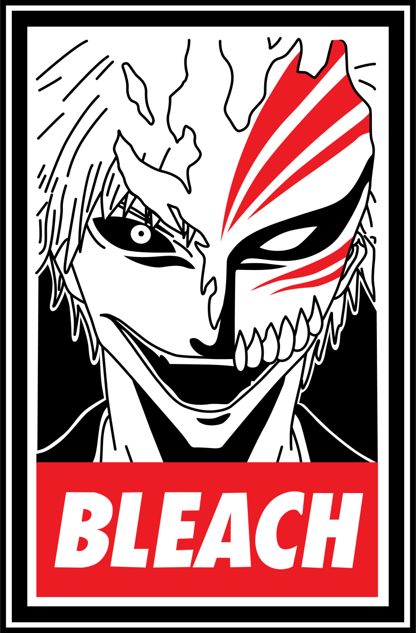 Bleach 05