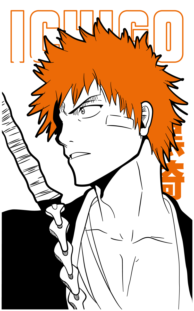 Bleach 06
