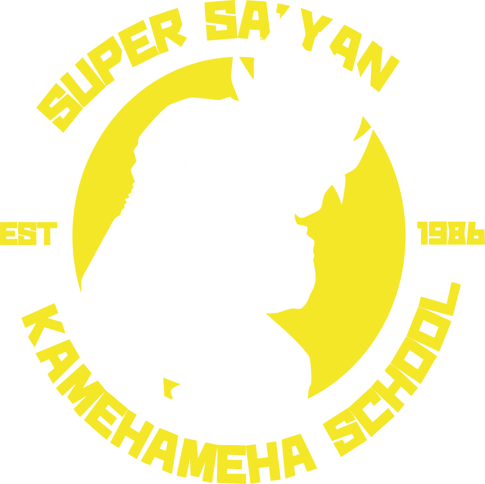 Dragon Ball Z 07