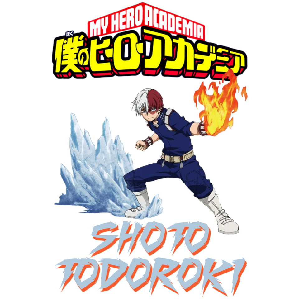 My Hero Academia 13