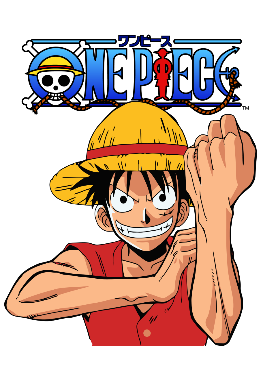 One Piece 18