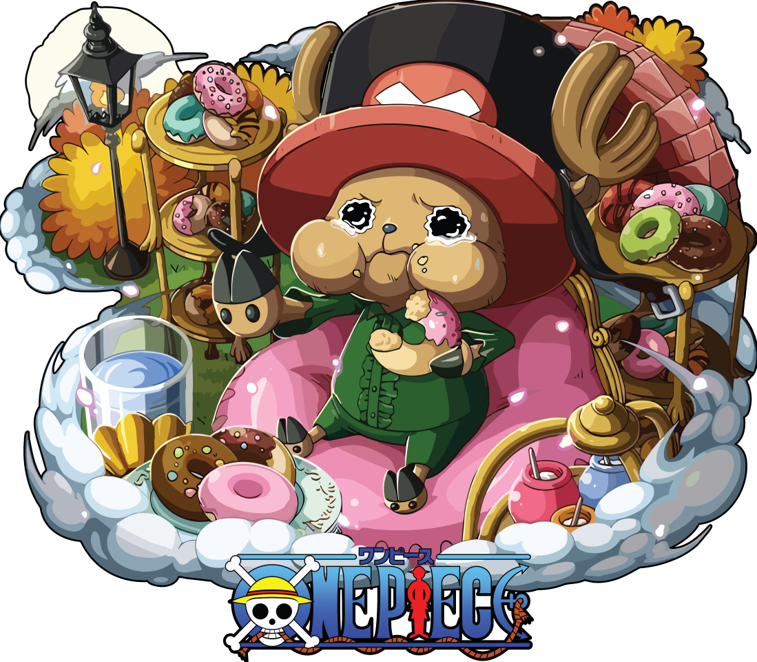 One Piece 28