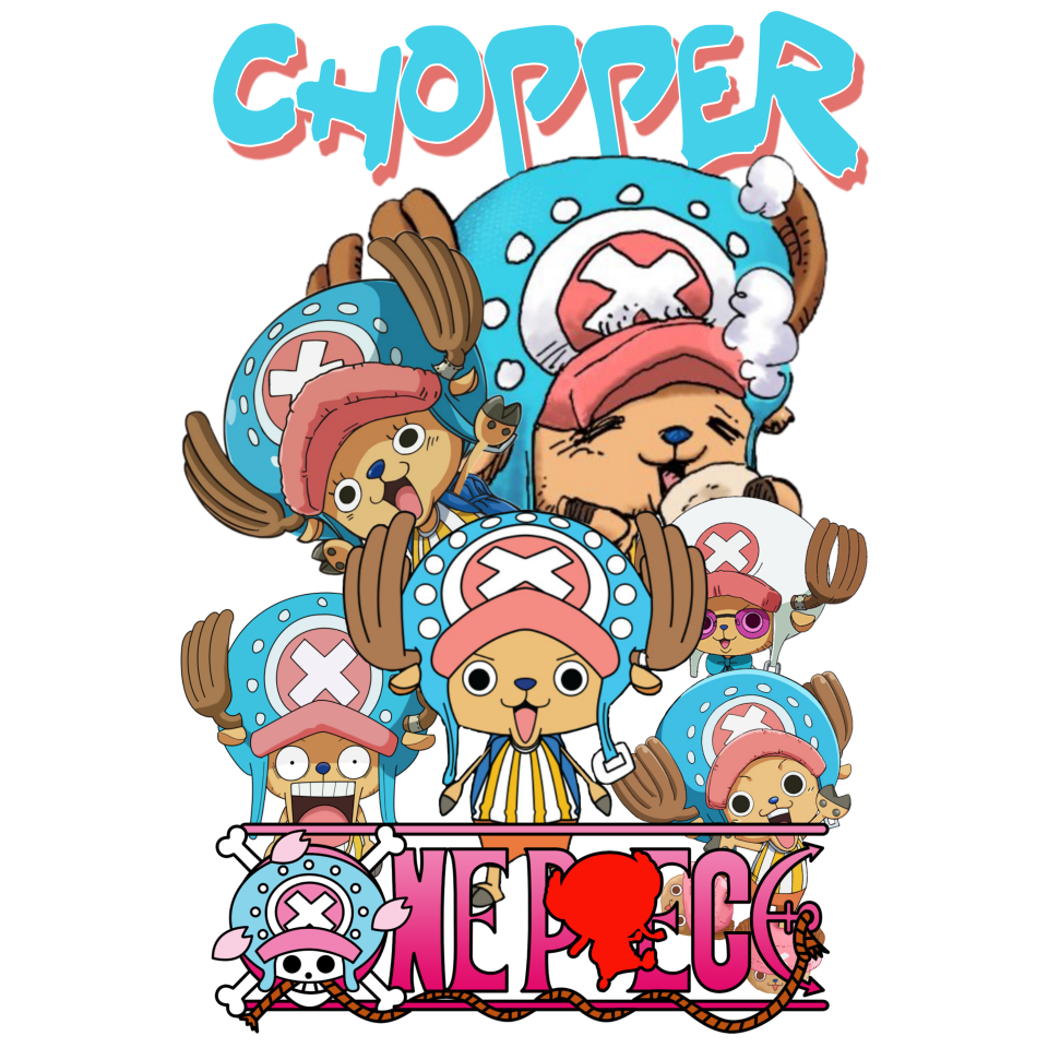 One Piece 29