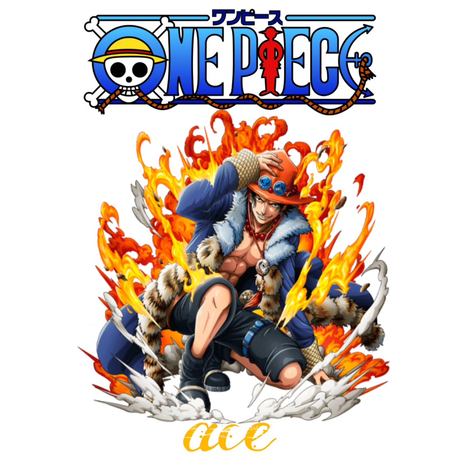 One Piece 45